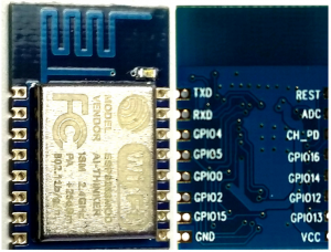 ESP8266-12 Top and Bottom Views